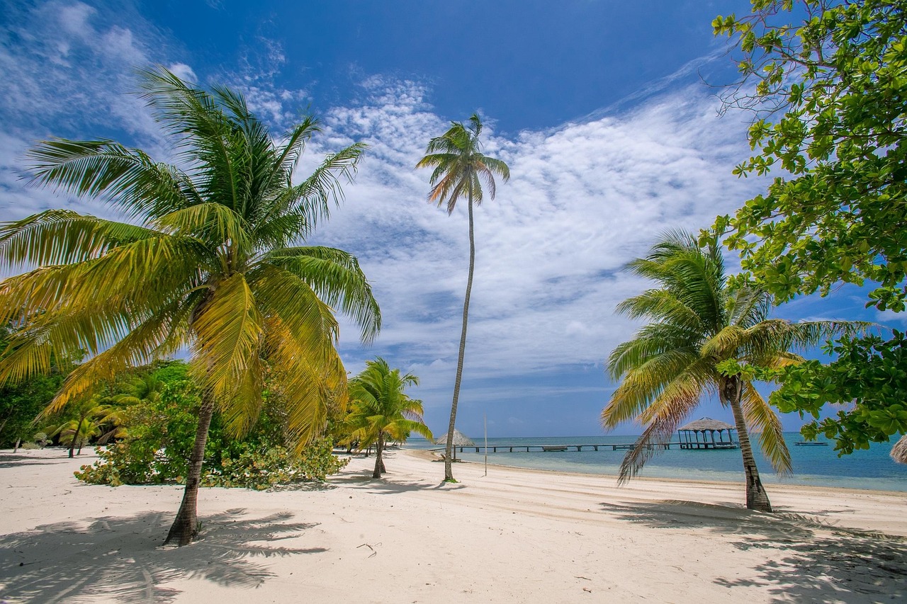 Experience Paradise at Disney's Caribbean Beach Resort