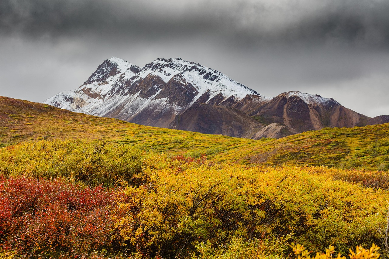 Experience the Magic of a Disney Alaska Cruise