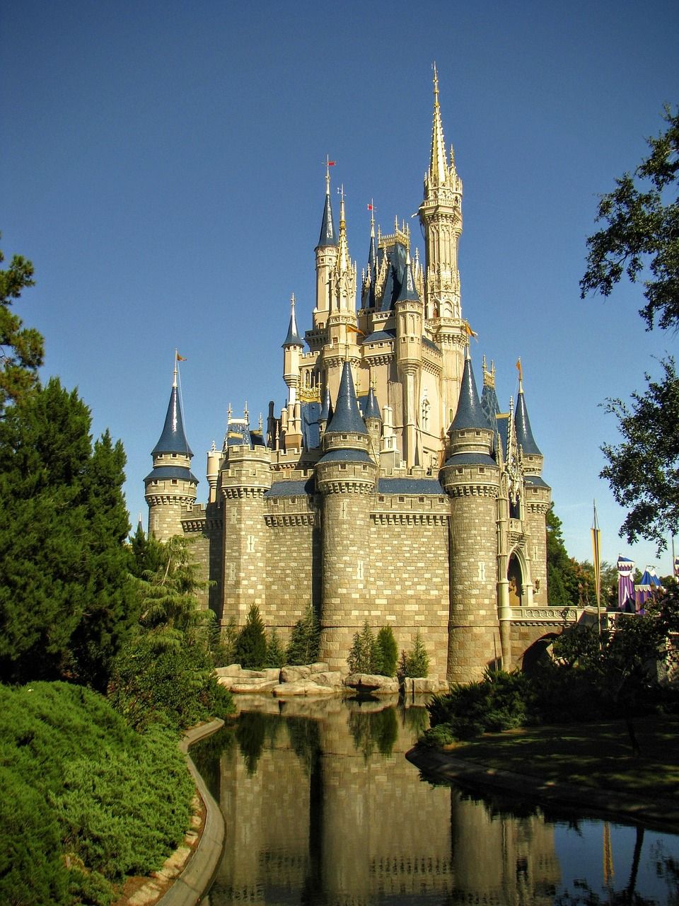 Discover the Magic of Disney World Themed Hotels