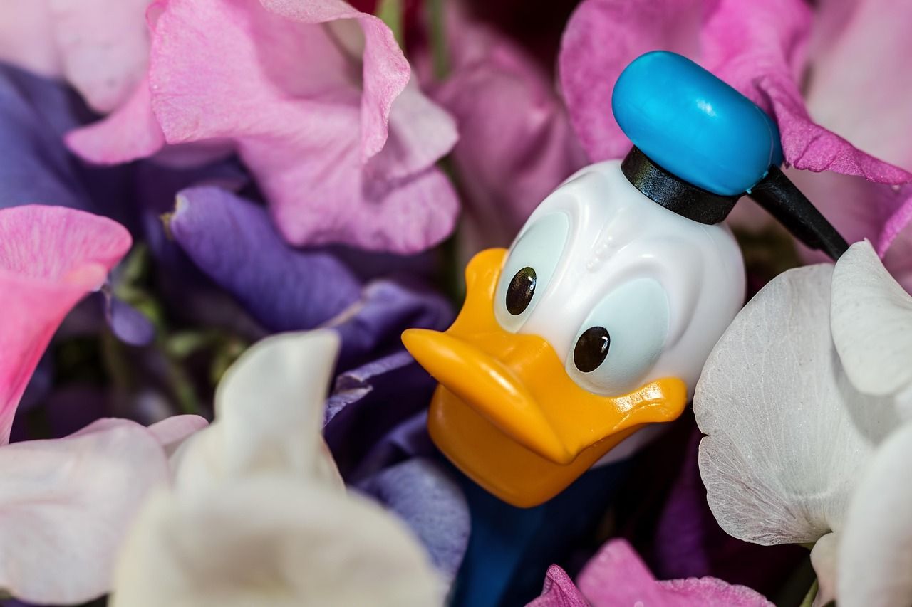 Discover the Magic of Donald Duck at Walt Disney World