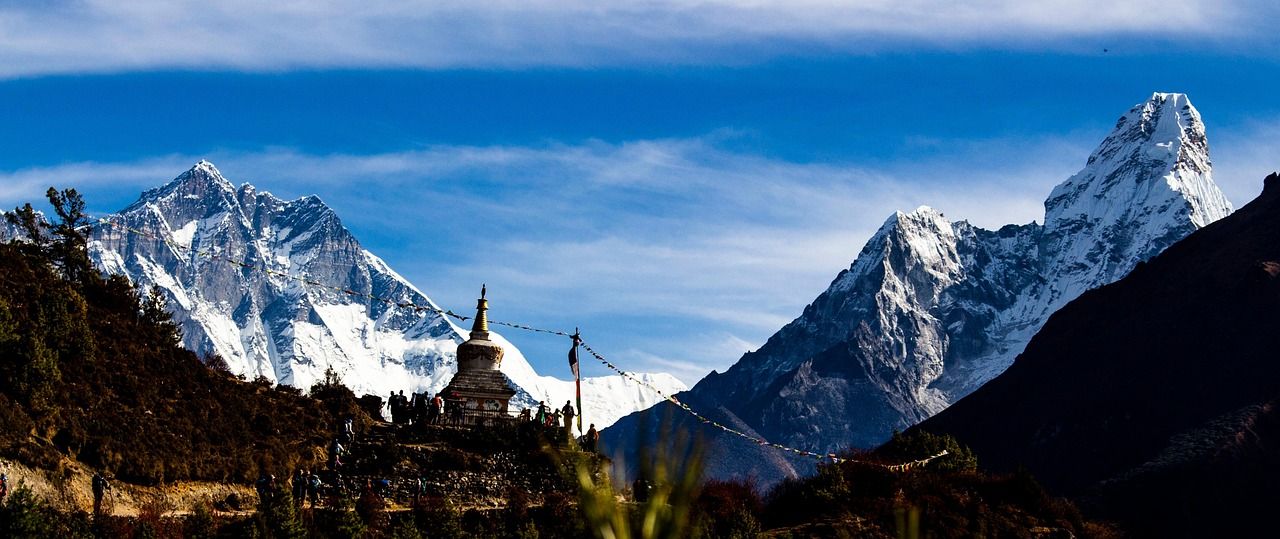 Experience the Thrills of Disney's Expedition Everest