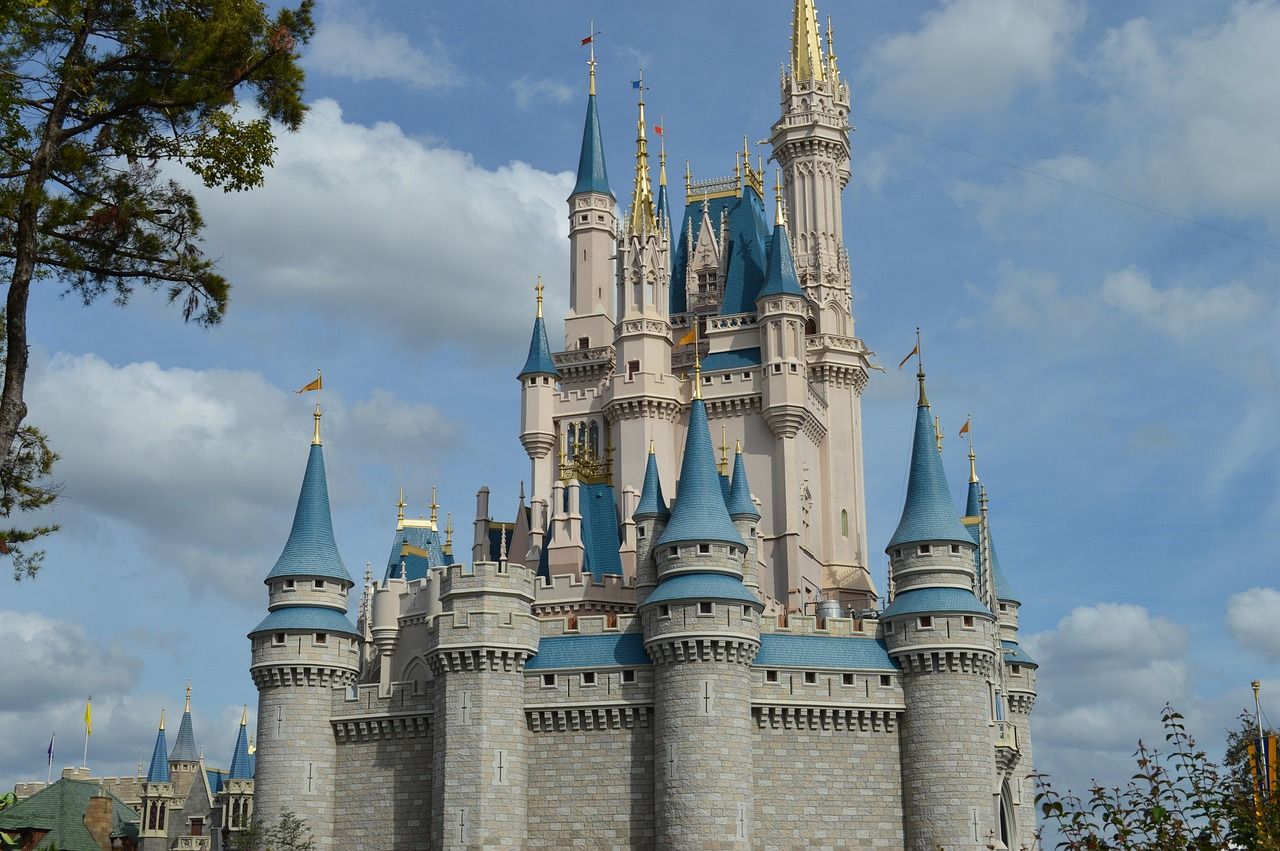 Experience the Magic: Disney World VIP Insights