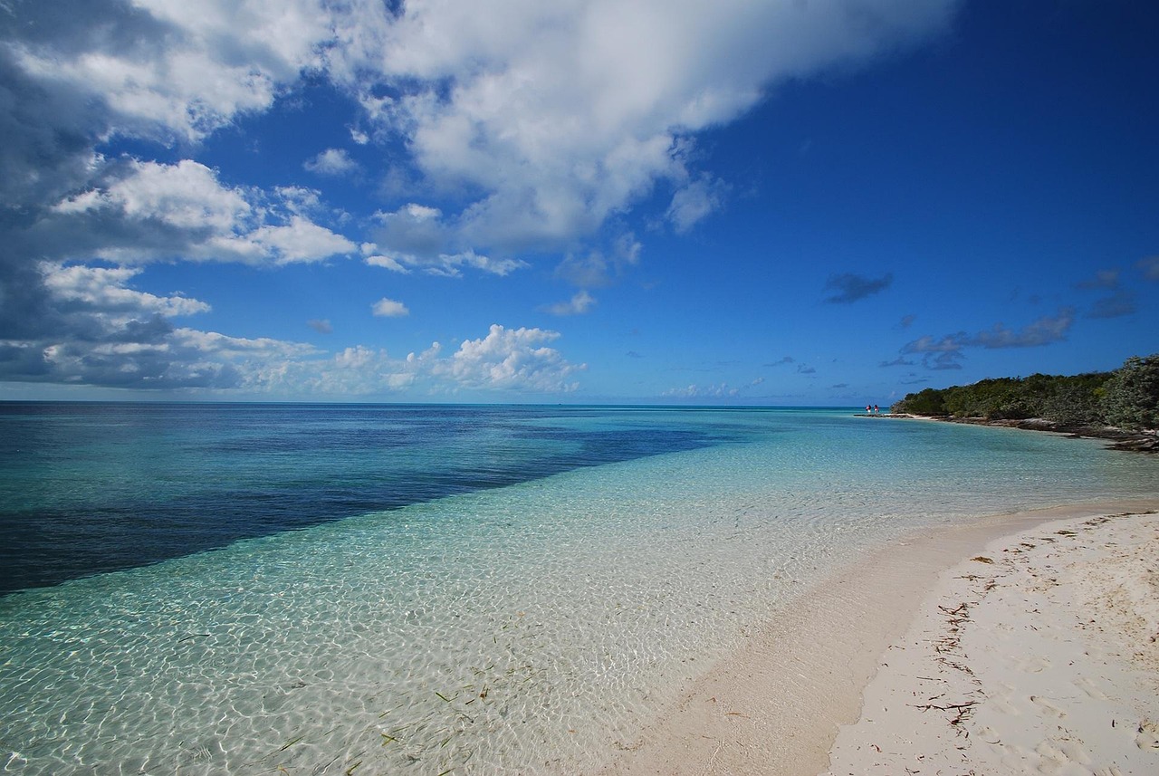 Explore Caribbean Beach Disney: Your Guide to a Tropical Paradise