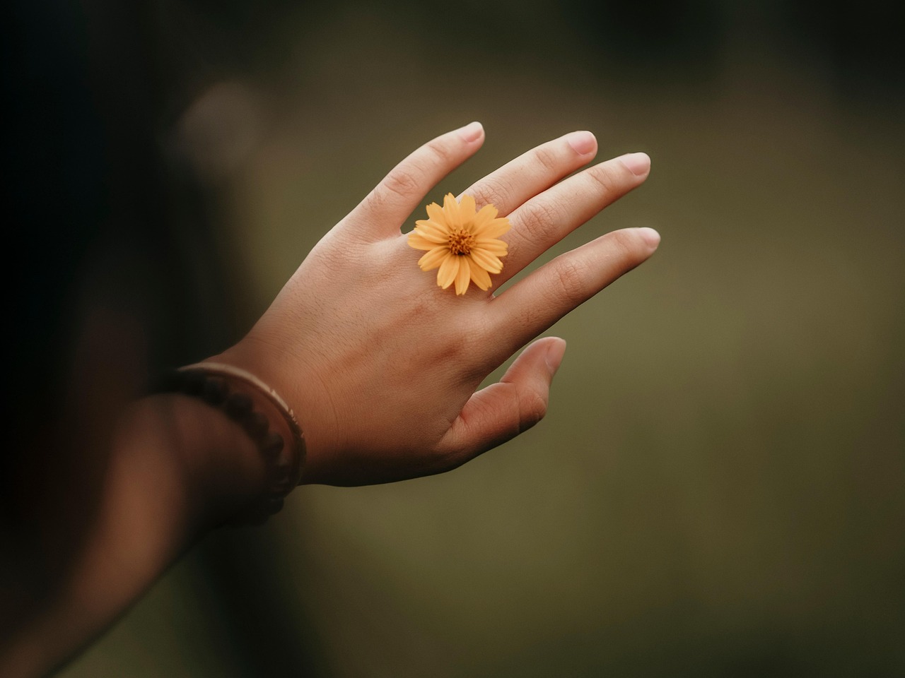 The Intricate Elden Ring Family Tree: Understanding Its Lore