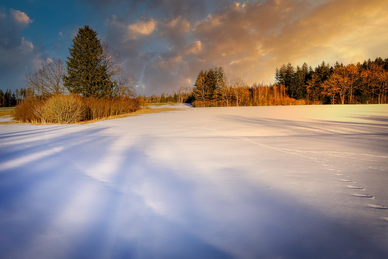 Discover the Secrets of the Snowfield in Elden Ring