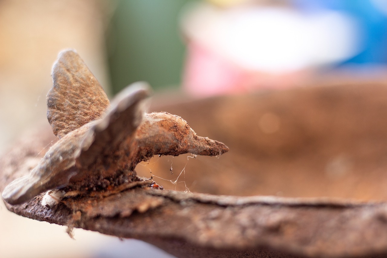 The Fascinating World of Poecilotheria metallica: The Indian Ornamental Tarantula