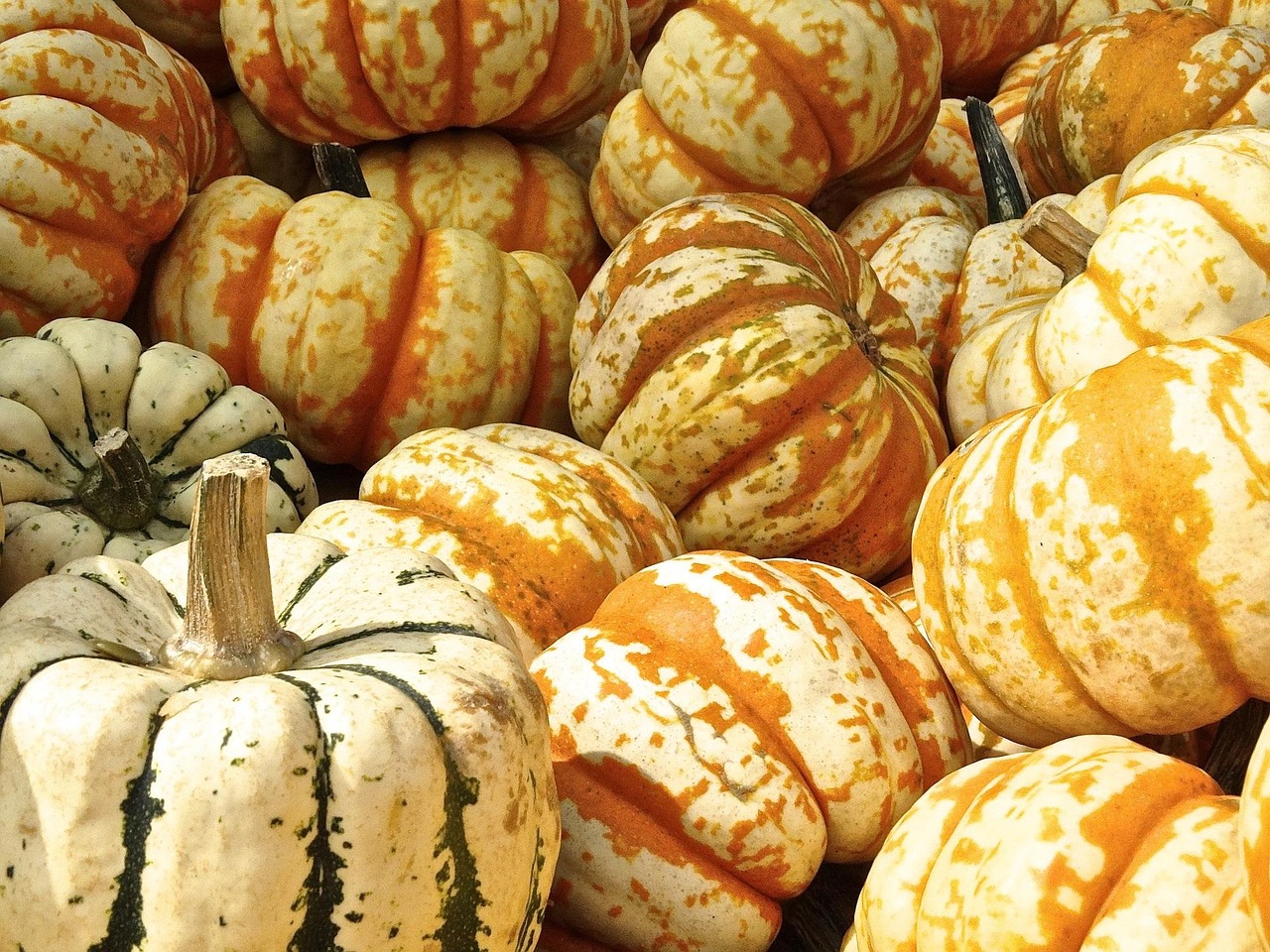 Creative Ways to Celebrate Halloween with an Among Us Pumpkin