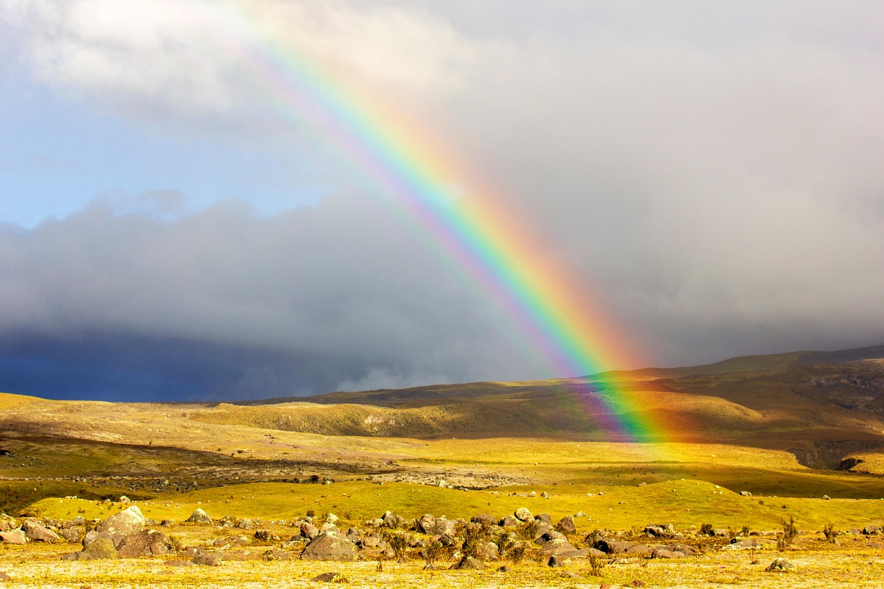 Discovering the Rainbow Among Us: Colors of Unity and Diversity