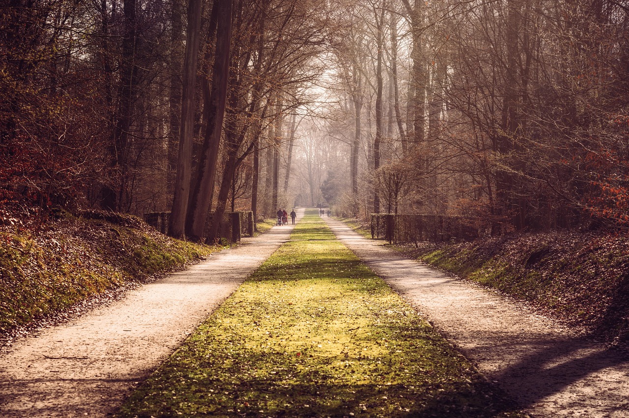 Do Angels Walk Among Us as Humans? Discover the Truth Behind This Fascinating Question