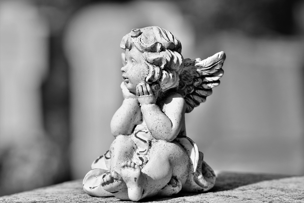 I Believe Angels Are Among Us: Discover Their Signs and Messages