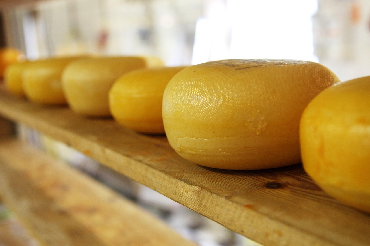 Everything You Need to Know About Mr Cheese Among Us