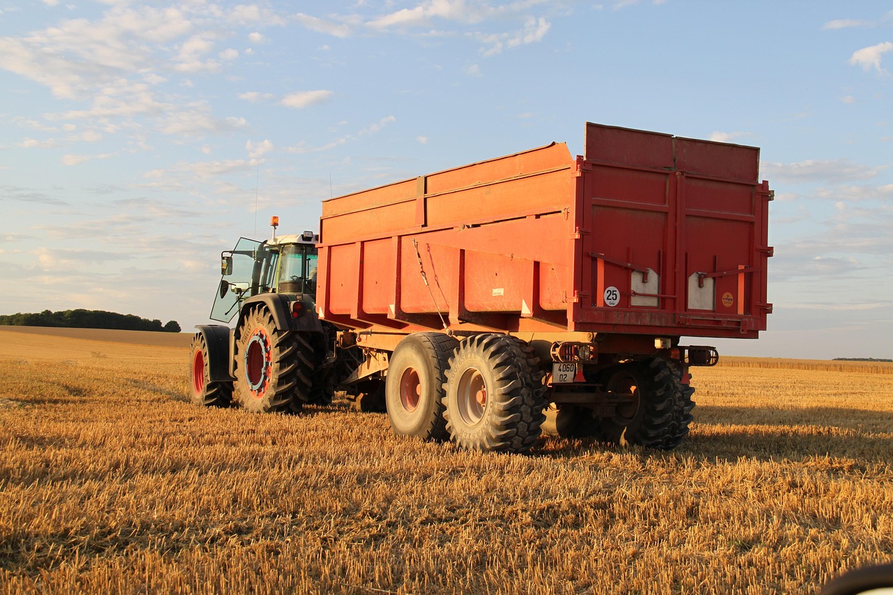 Affordable Solutions: Cheap Dumpster Rental Eagle Dumpster Rental Services