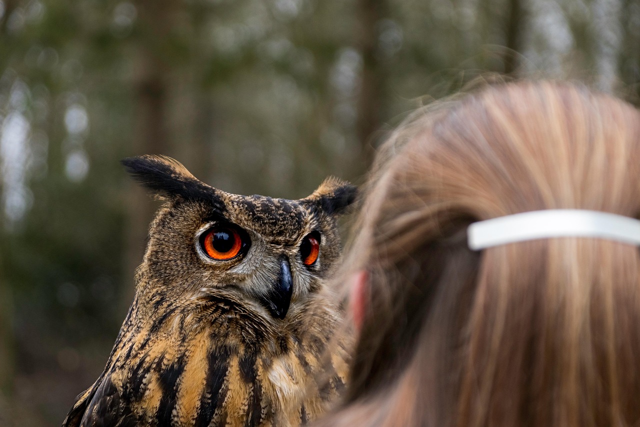 Understanding the Majestic Eagle Owl: Facts, Habitat, and Behavior