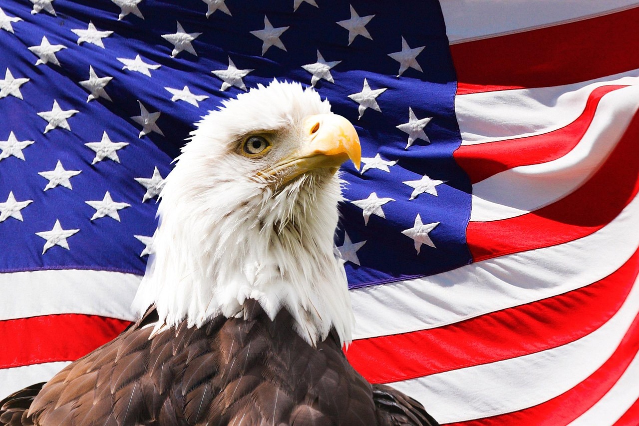 Exploring the Majestic American Eagle: A Symbol of Freedom