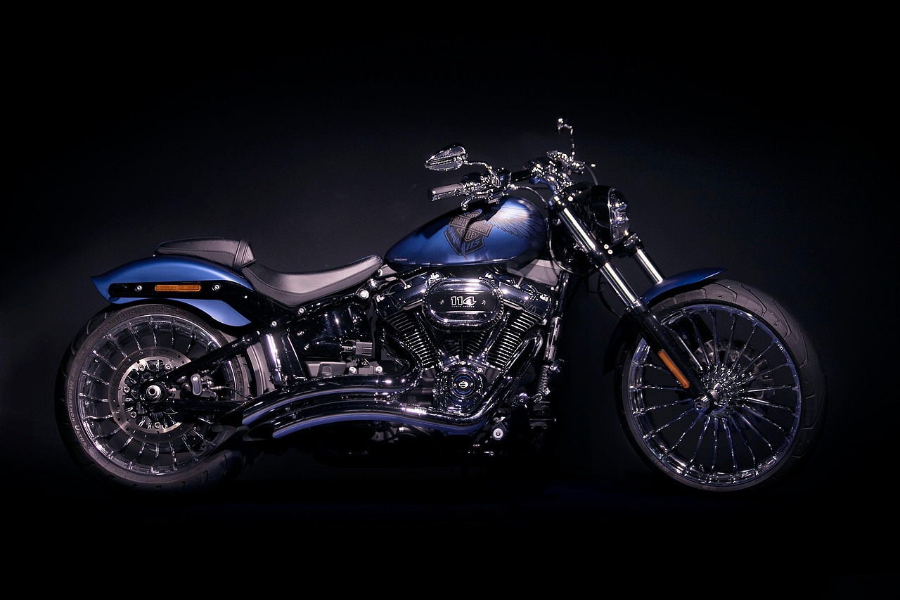 Embrace the Thrill: Harley Davidson with Eagle Designs