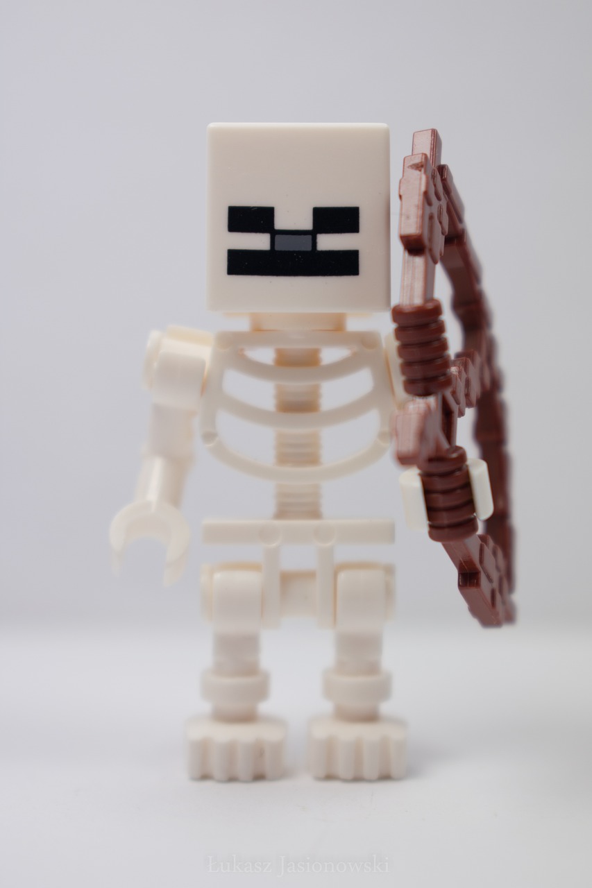 The Ultimate Guide to Minecraft Skeletons: Tips, Tricks, and Facts