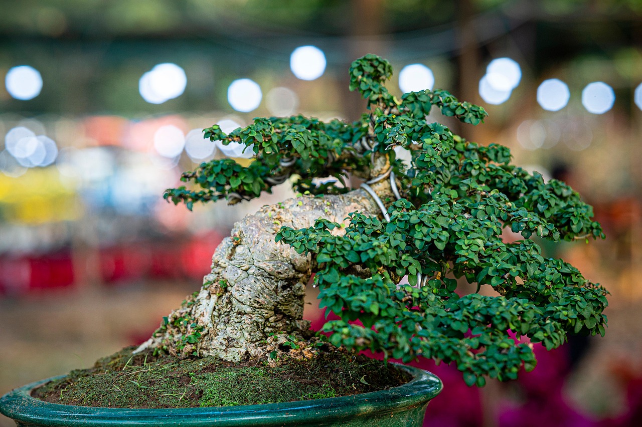 How to Create a Stunning Minecraft Bonsai Tree