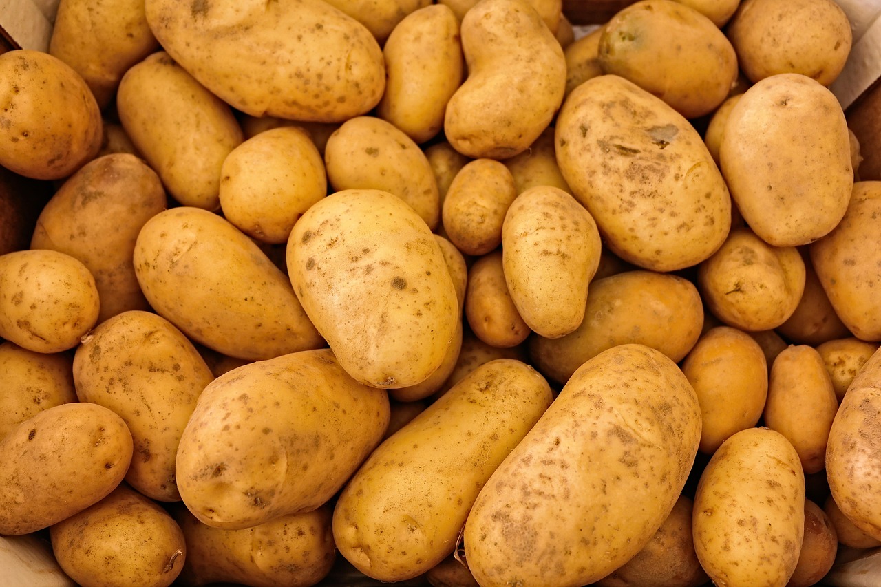 Best Baked Potatoes in Air Fryer: The Ultimate Guide