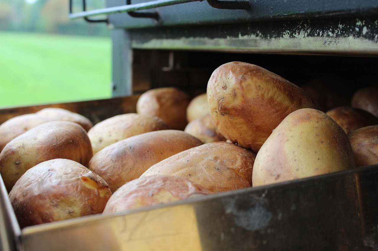 Discover the Best Air Fryer Baked Potatoes: Crispy, Fluffy, and Delicious