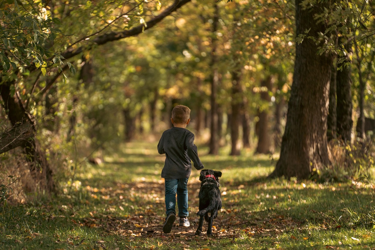 Top Hunting Dog Names for Boys: Find the Perfect Fit for Your Canine Buddy