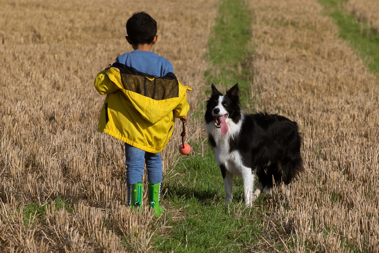 15 Creative Dog Related Names for Boys That Will Make You Smile