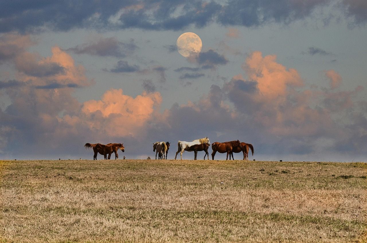 Enchanting Moon Boy Names: Discover the Magic Behind Them