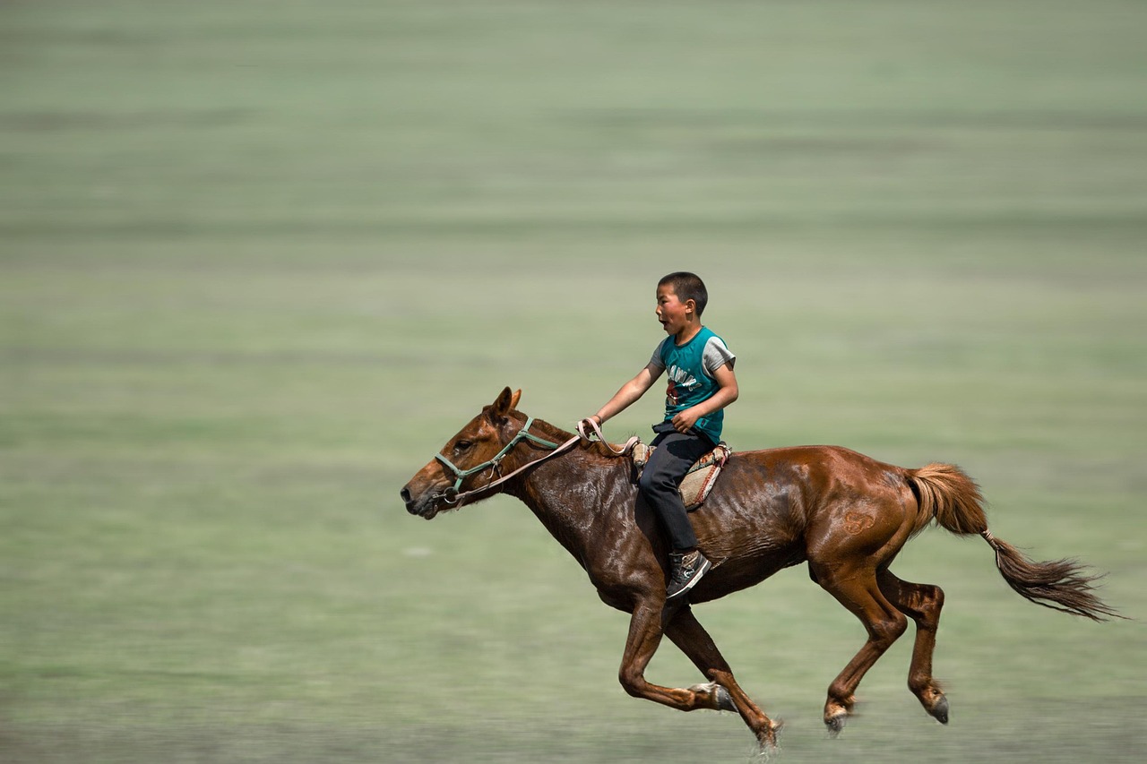 Unique Boy Horse Names: Stand Out with These Creative Ideas