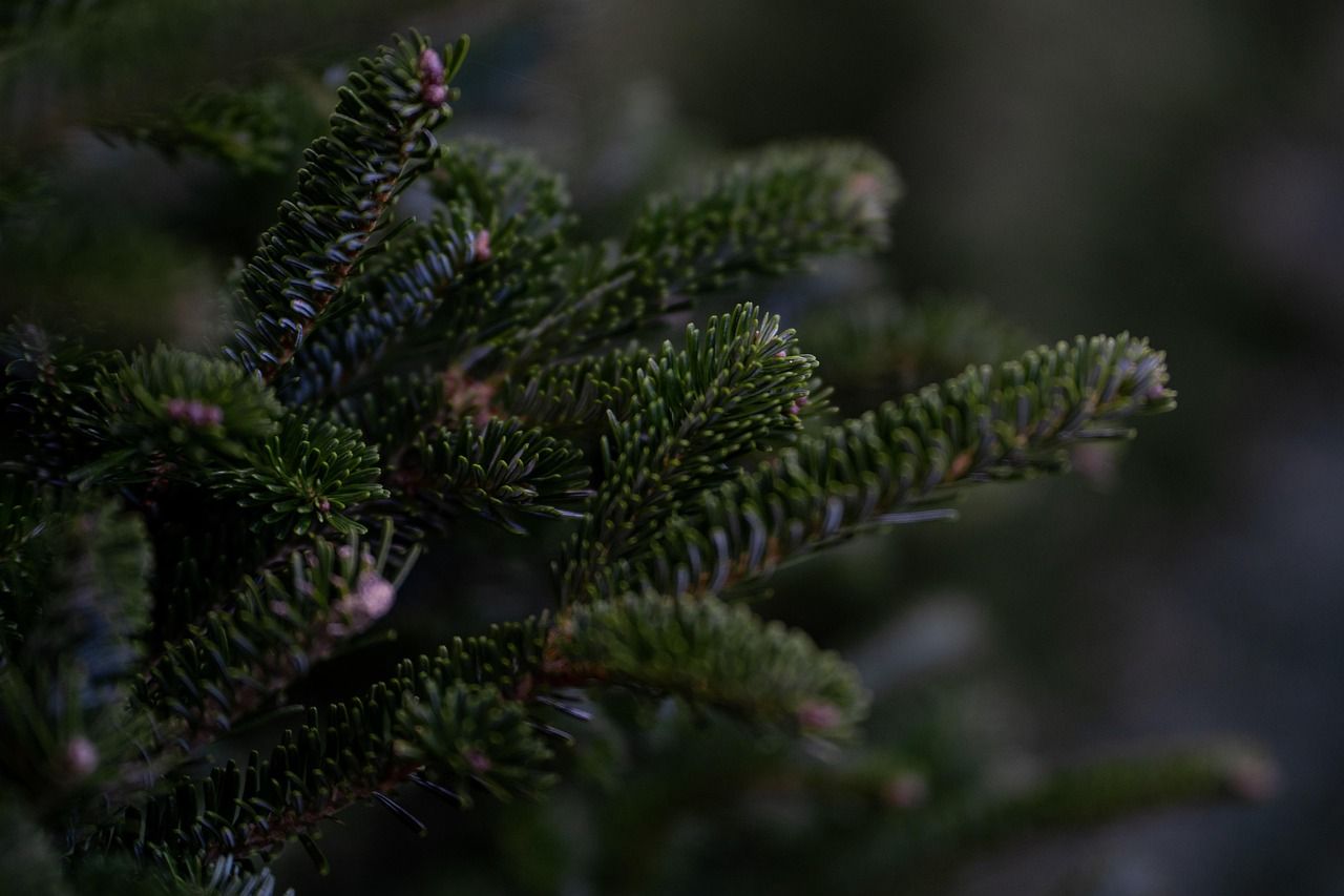 Elevate Your Holiday Decor with a Rotating Christmas Tree Topper