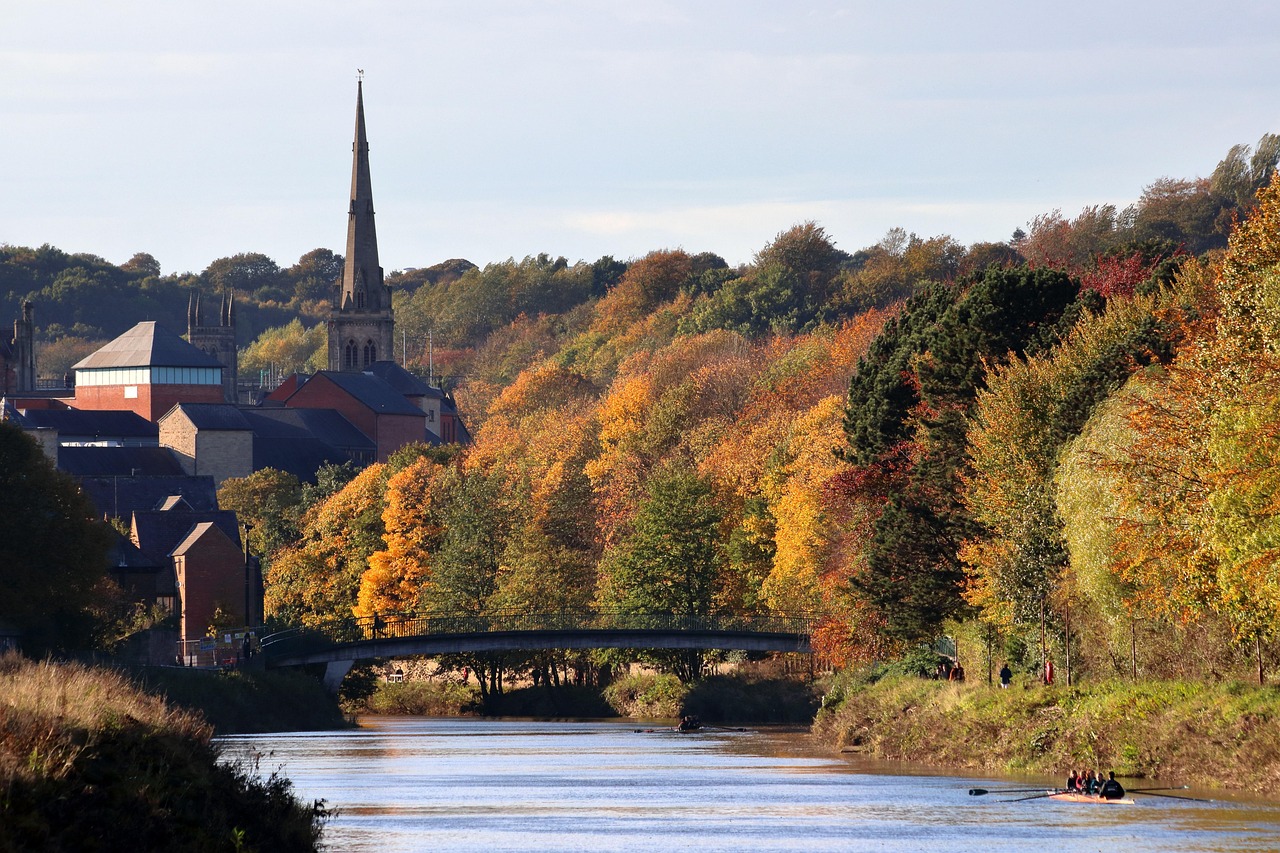 Trosa Christmas Trees Durham: Your Guide to the Perfect Holiday Tree