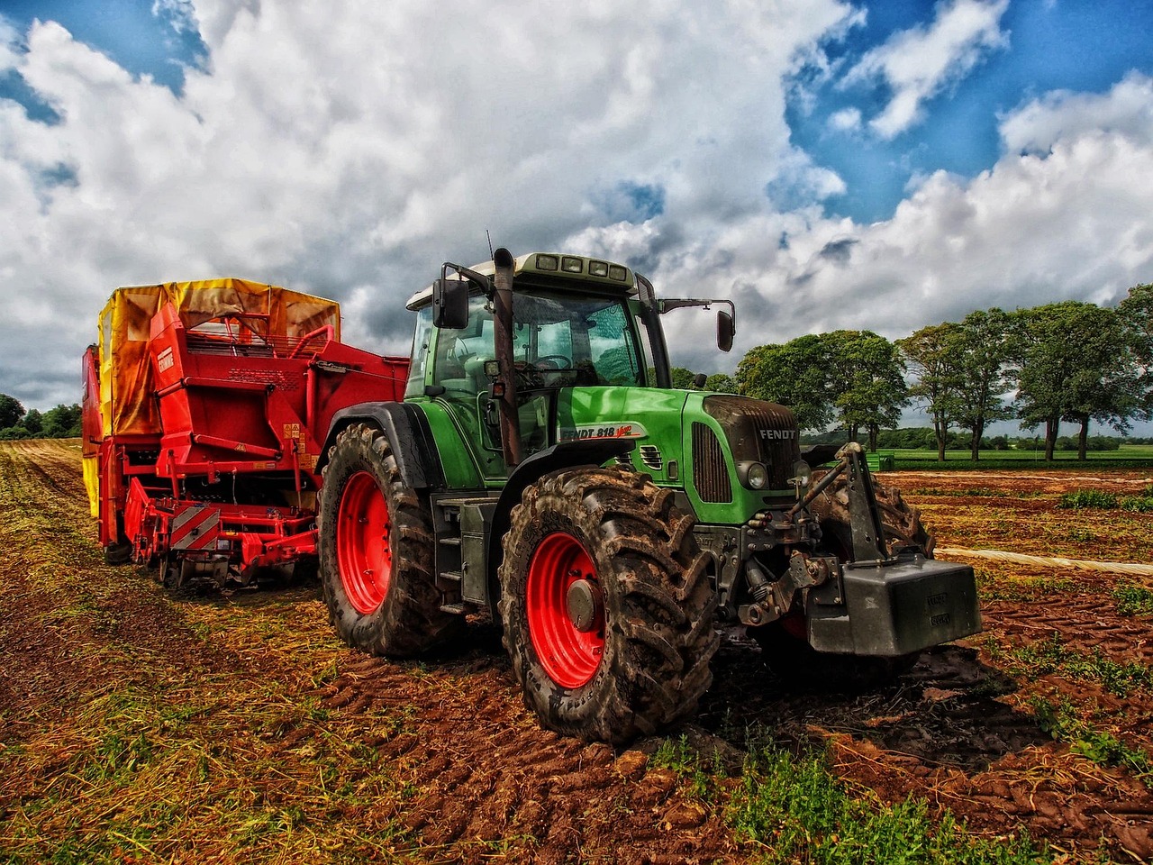 Tractor Christmas Tree Lights: The Ultimate Guide to Festive Farm-Style Decor