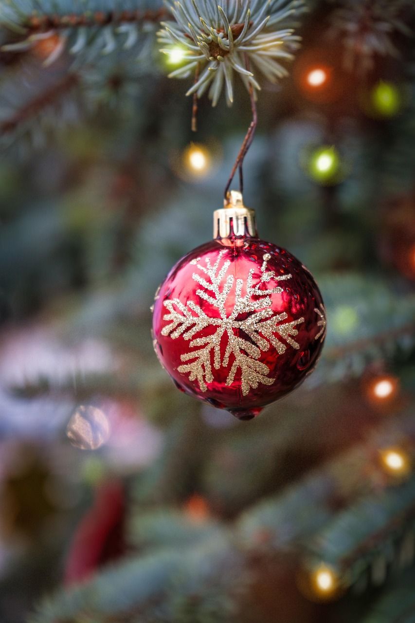 Real vs Artificial Christmas Tree: Which is Better for Your Holiday Season?