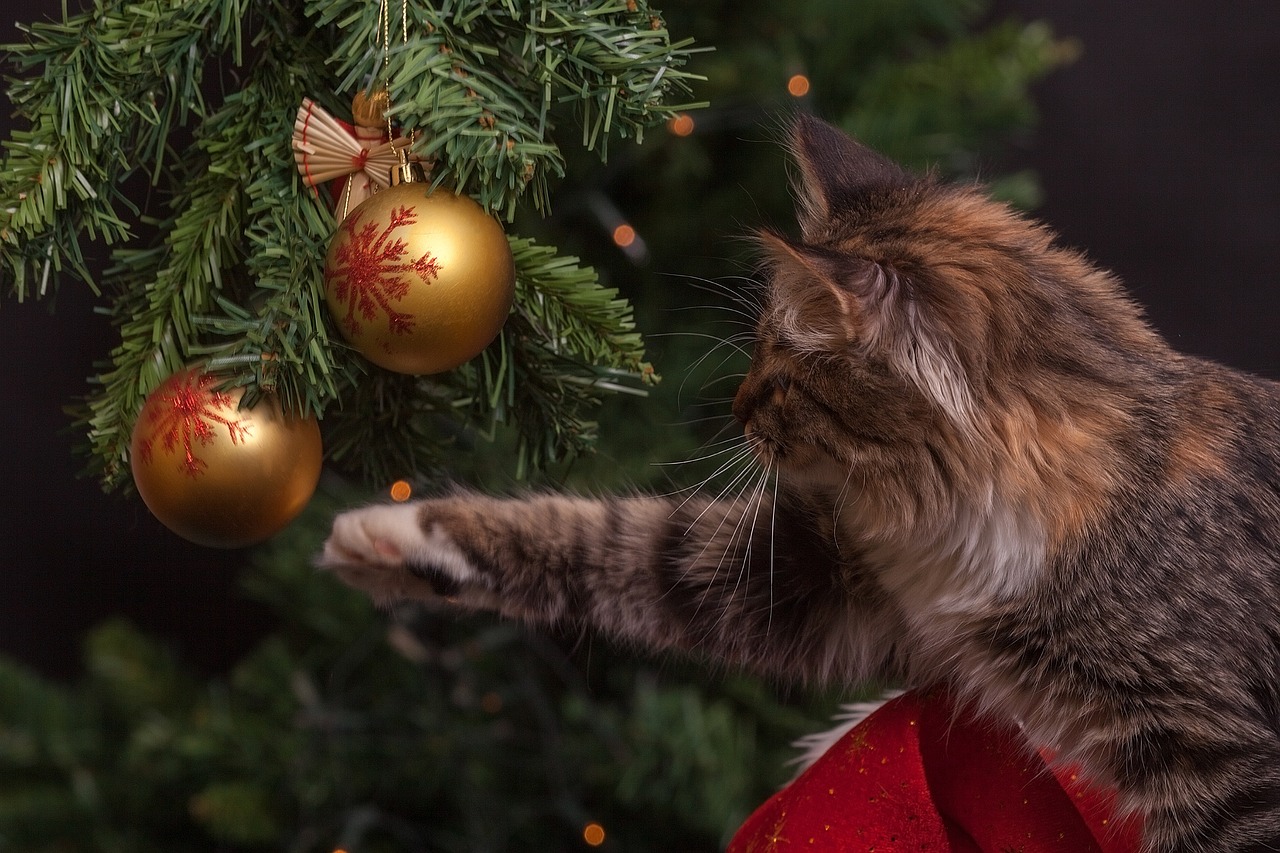 Transform Your Holidays with a Stunning Teal and Gold Christmas Tree