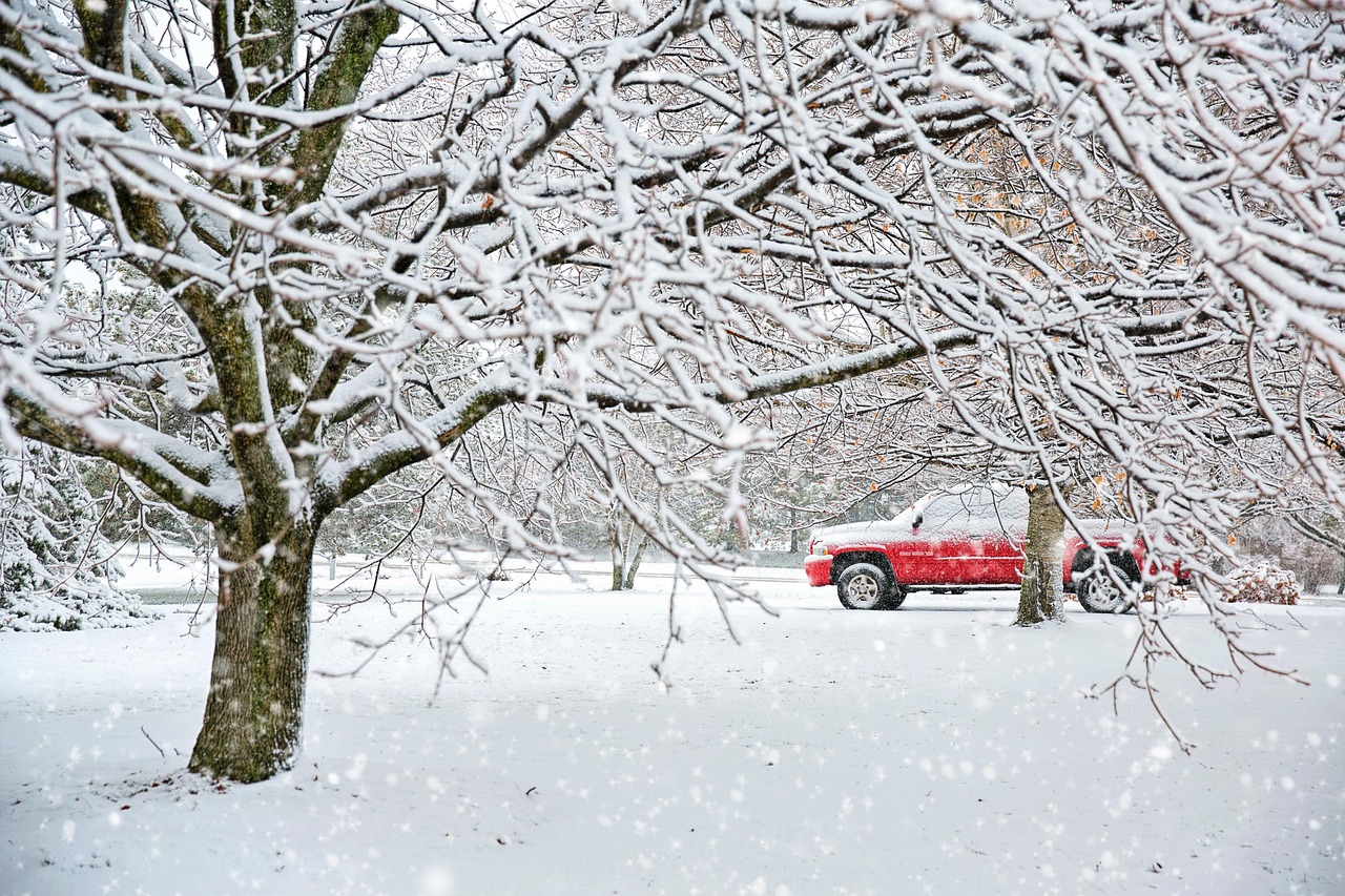 Transform Your Holidays with a White Christmas Tree with Snow