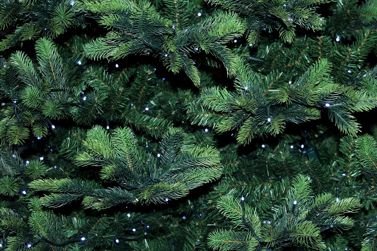 Where Can I Buy an Artificial Christmas Tree? Explore Your Options!