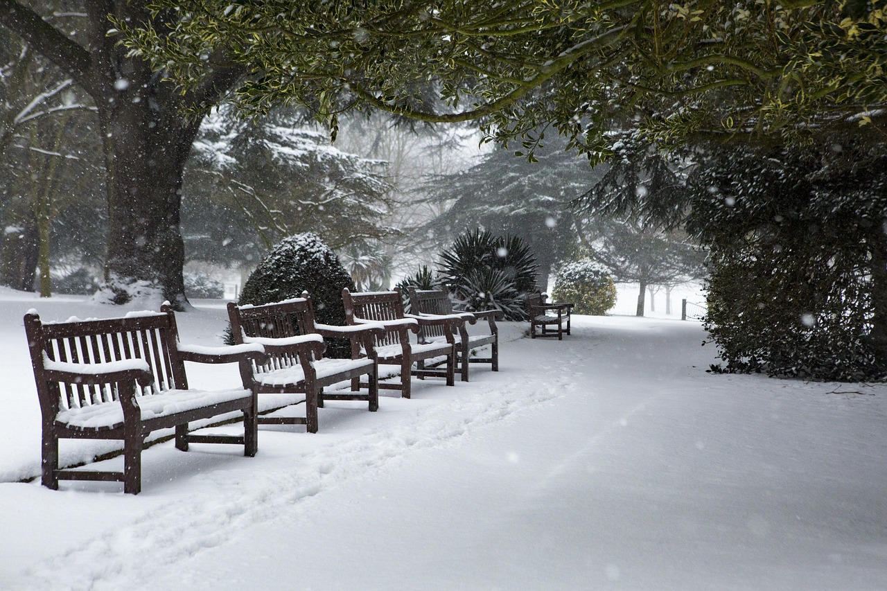 Transform Your Holidays with a Stunning White Christmas Tree