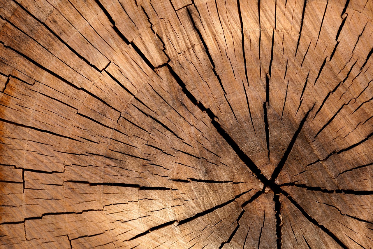 Explore the Beauty of a Wood Christmas Tree This Holiday Season