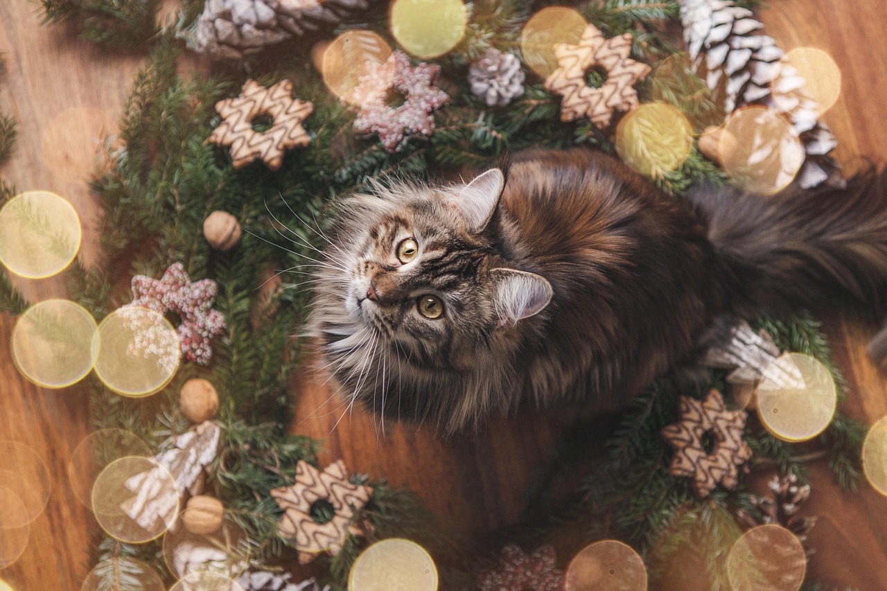 Effective Cat Christmas Tree Repellent Solutions for a Joyful Holiday Season