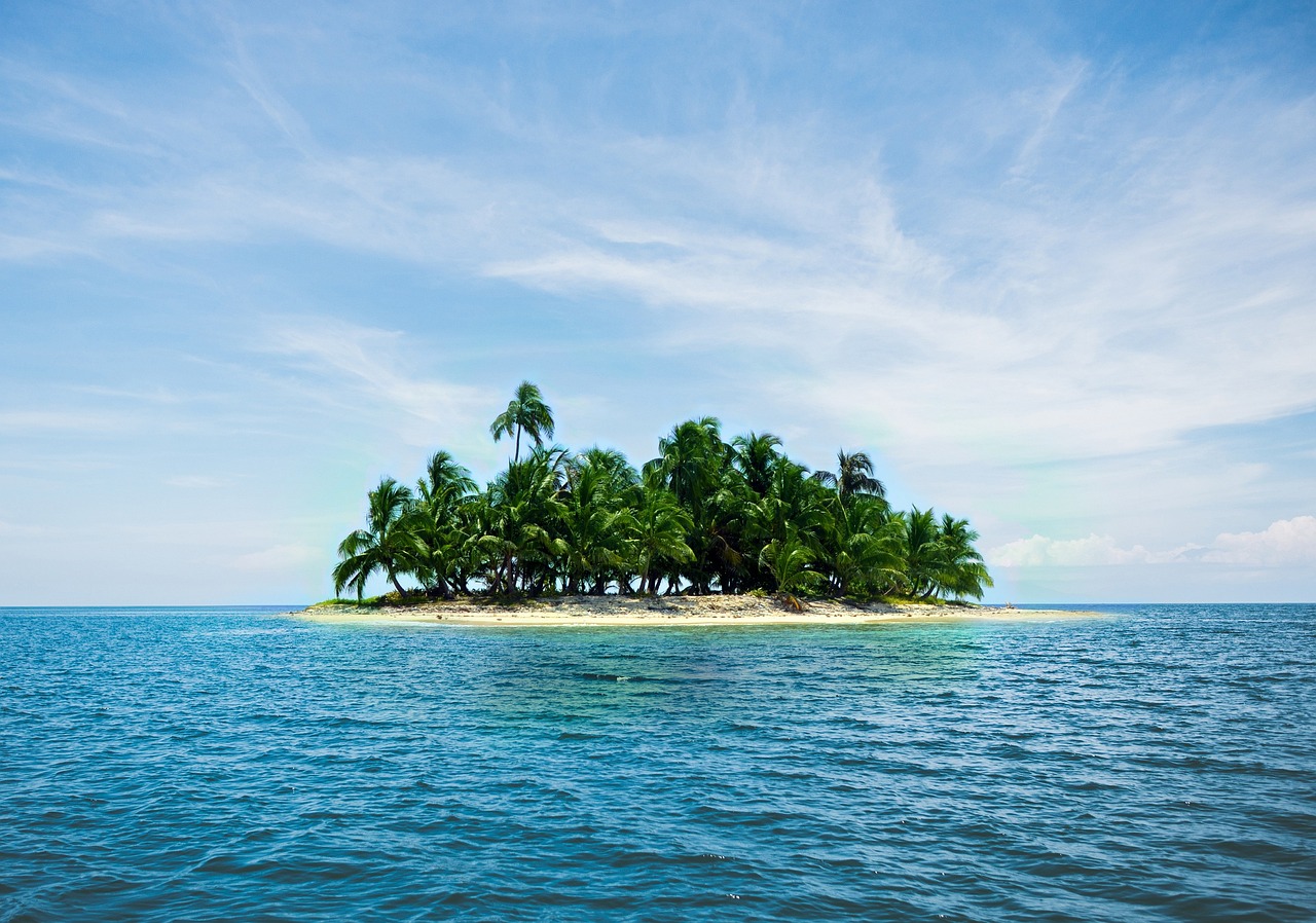 Discover the Fascinating World of Christmas Island Crabs