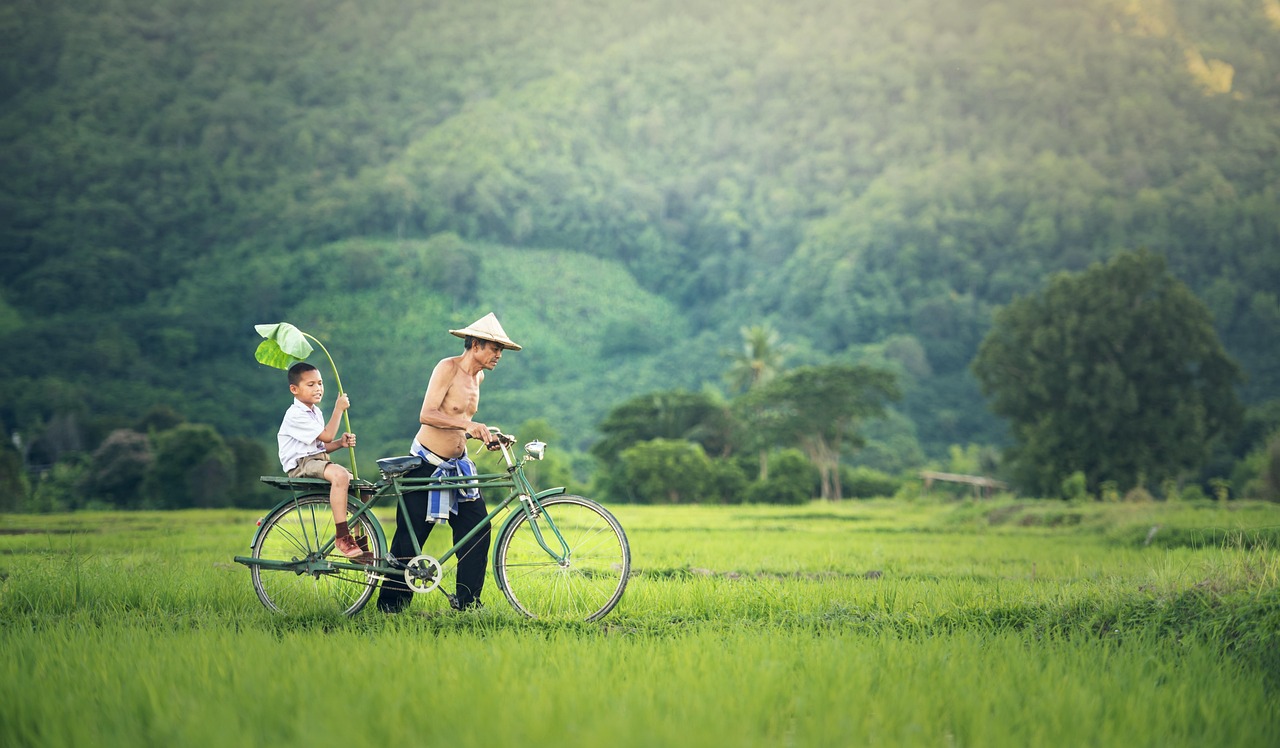 Heartfelt Father’s Day 2024 Messages to Celebrate Your Dad