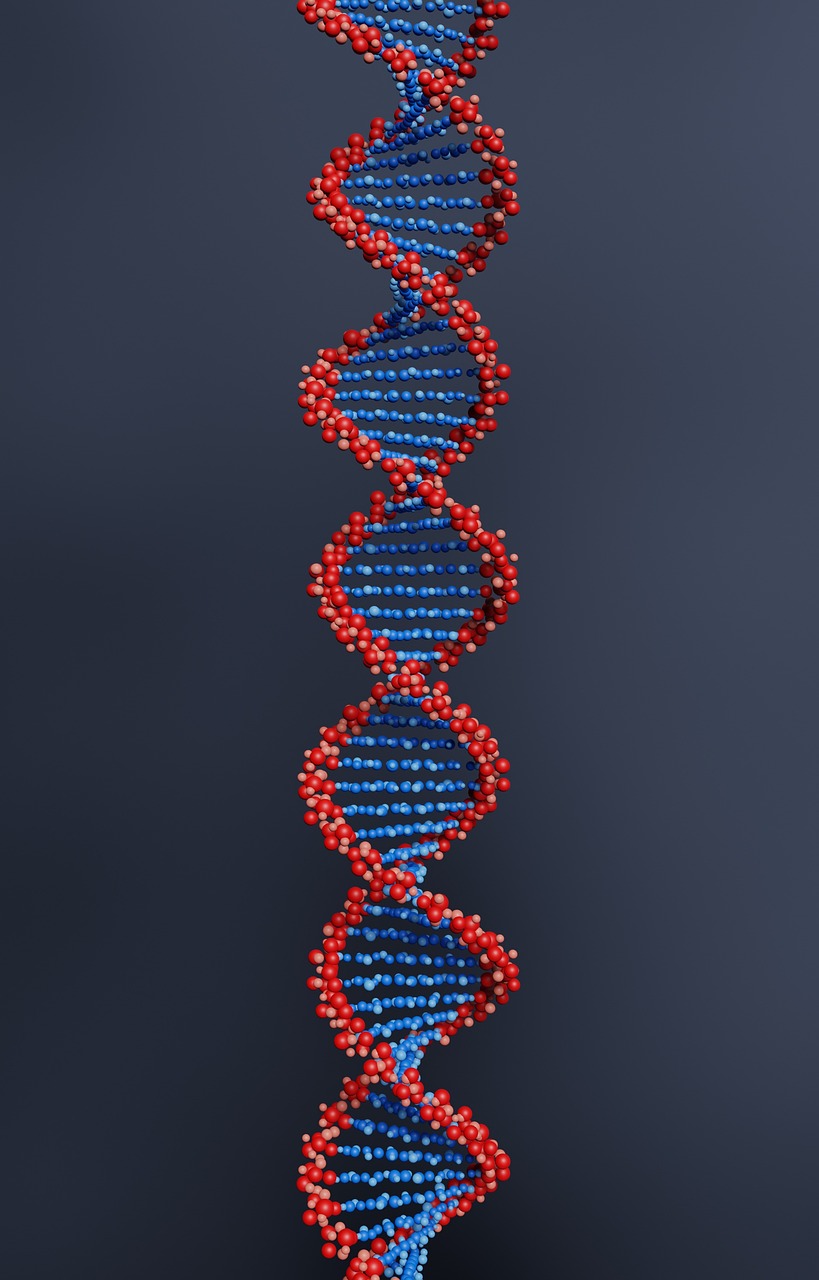 The Essential Formula for DNA: Understanding Its Structure and Importance