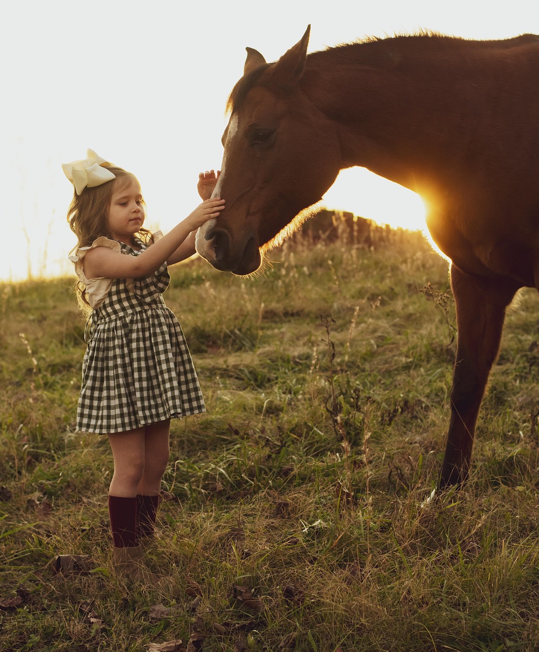 Unique Girl Horse Names: Stand Out with Creative Ideas