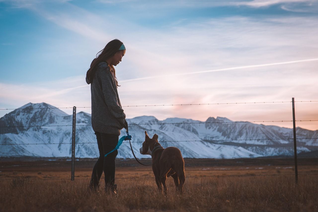 Girl Names for Dog: Unique & Trendy Options