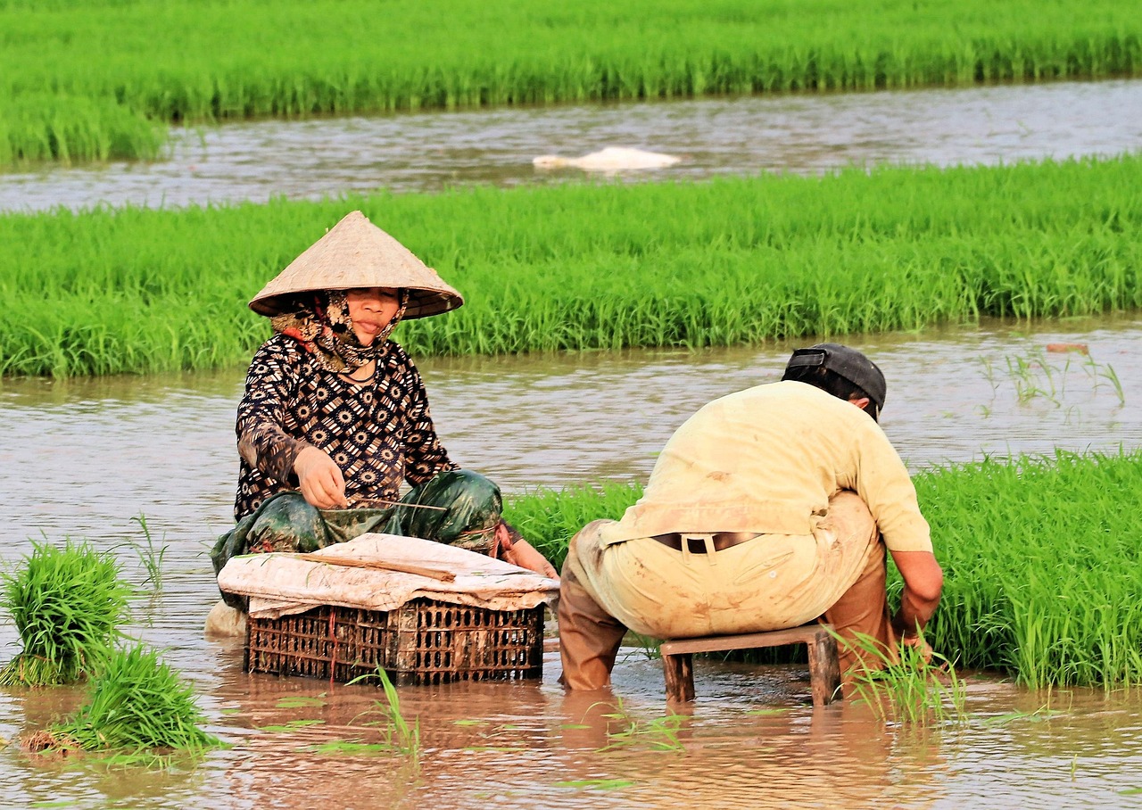 Beautiful Viet Girl Names: Meanings, Origins, and Significance