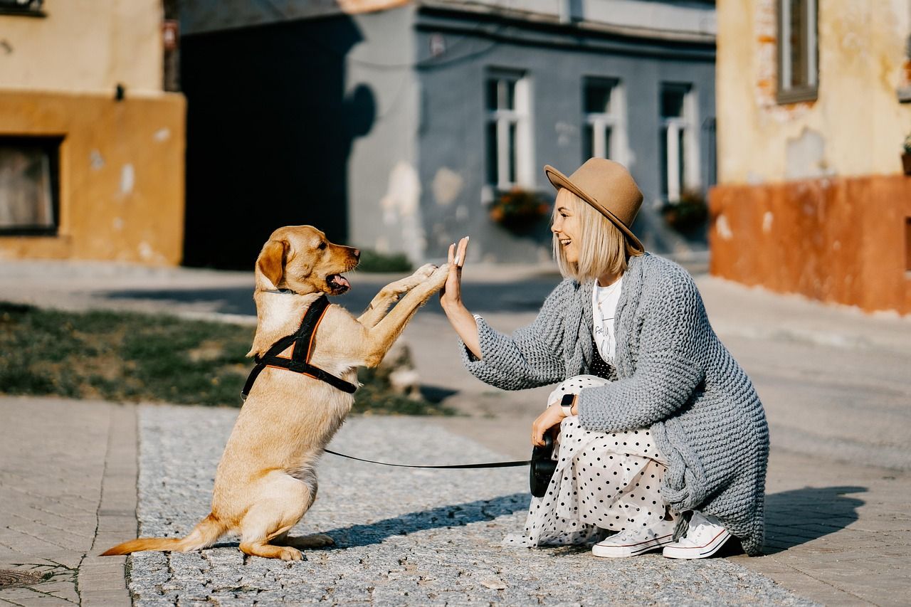 Unique Girl Names for Your Dog: Find the Perfect Fit