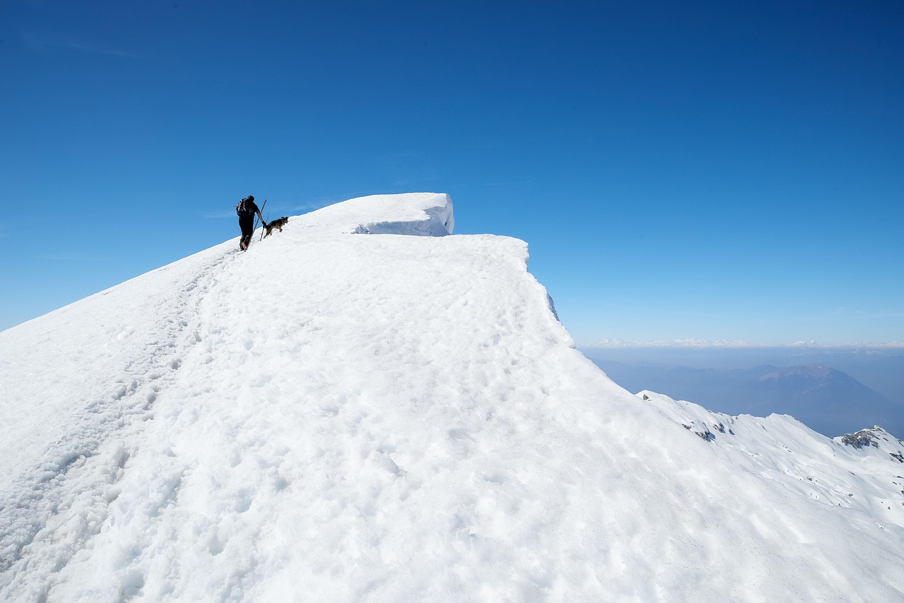 What Cell Tower Did 2 Girls Climb the Name? Unraveling the Daring Adventure