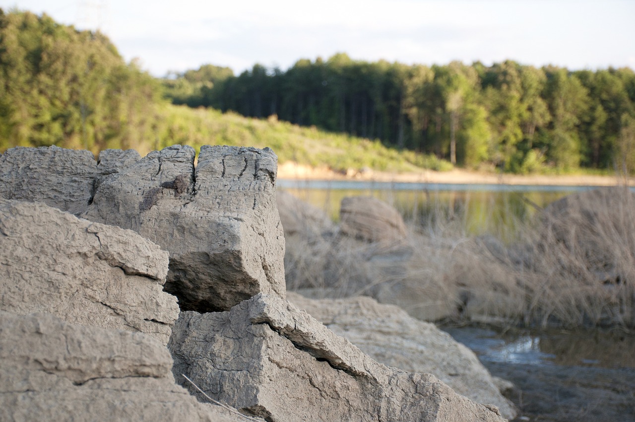 Cherokee Girl Names Meaning Woods: Nature-Inspired Options for Your Little One