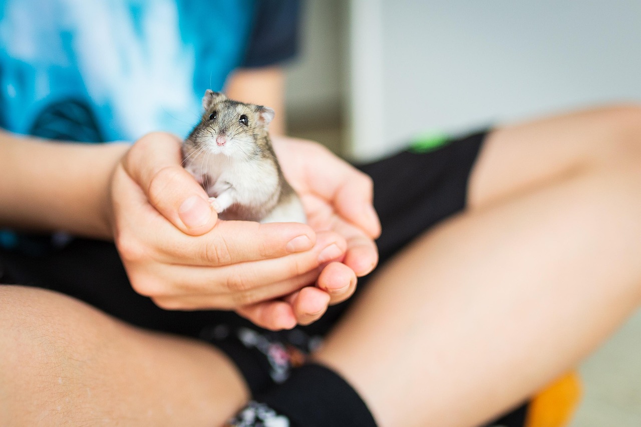 Charming Names for Hamsters Girl: Find the Perfect Name for Your Furry Friend