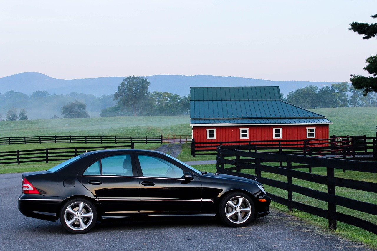 Creative Girl Car Names That Will Make Your Ride Unique