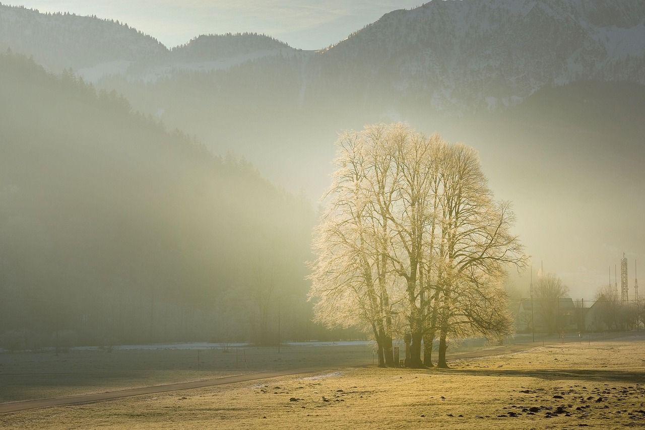 Good Morning Tuesday Fall: Embrace the Beauty of Autumn