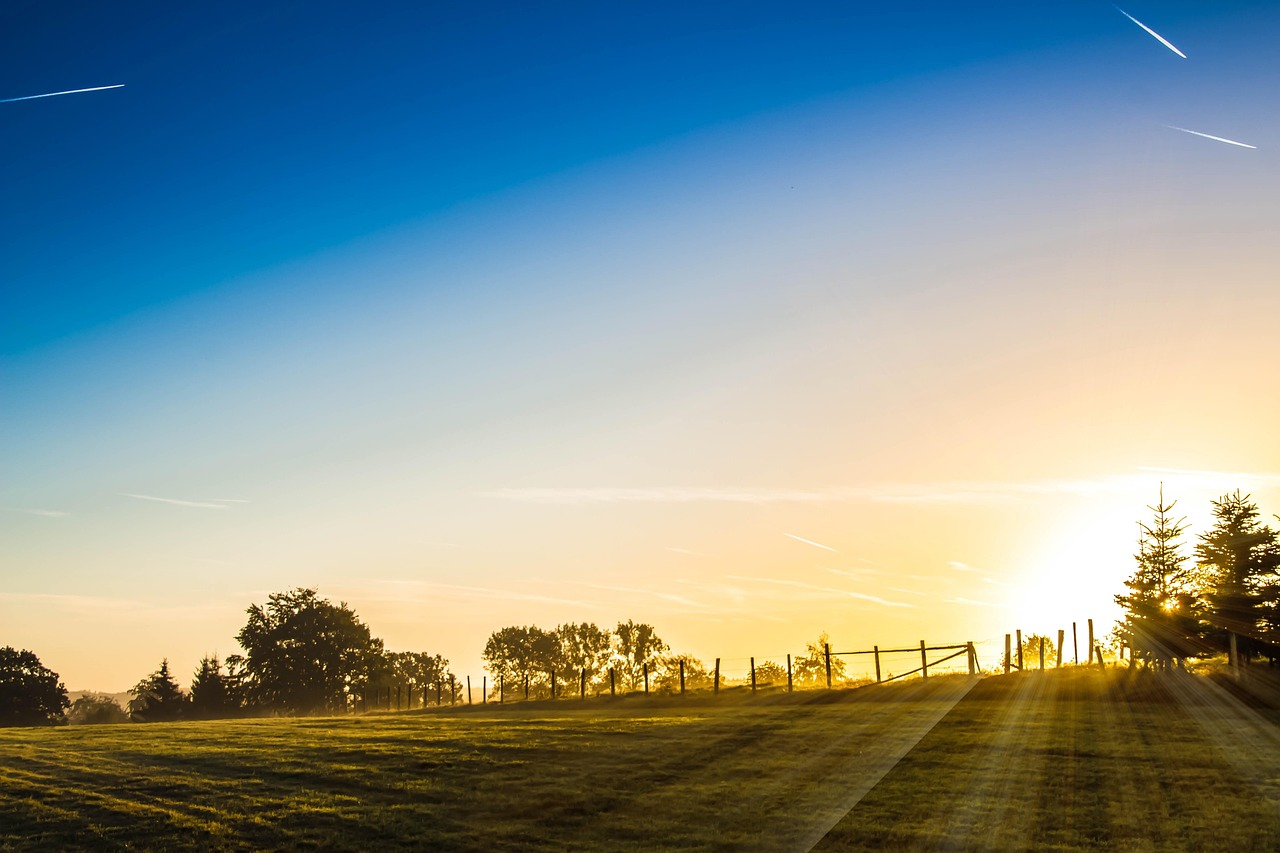 Good Morning in German: Your Guide to Start the Day Right!